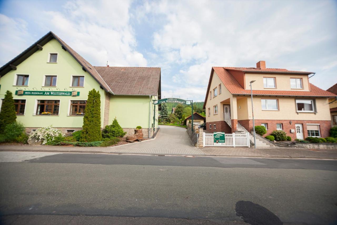 Ferienhaus Og1 "Westerwald Blick" Martinfeld Εξωτερικό φωτογραφία